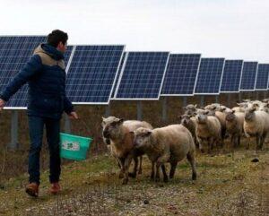 SOLPRO - Energía solar en agricultura 